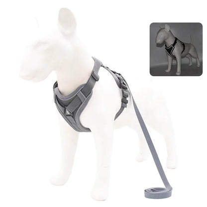No Pull Adjustable Dog Harness and Leash Set - Smarsty