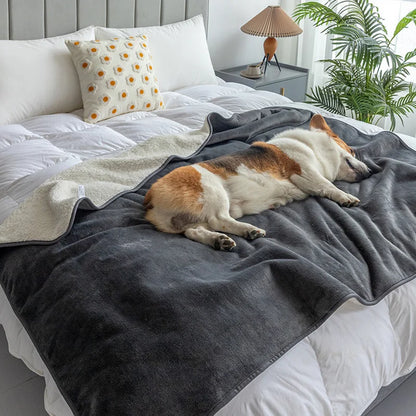 Premium Waterproof Pet Blanket for Dogs and Cats - Smarsty