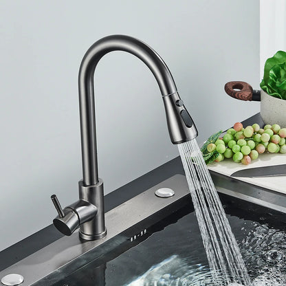Rozin Chrome Kitchen Faucet with Pull Out Spout - Smarsty