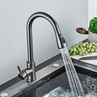 Rozin Chrome Kitchen Faucet with Pull Out Sprayer - Smarsty