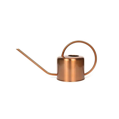 Rustproof Leakproof Stainless Steel Watering Can with Long Nozzle - Smarsty