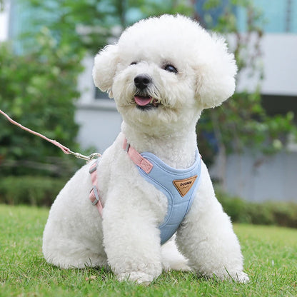 Puppy Harness Leash Set for Small Dogs - Smarsty