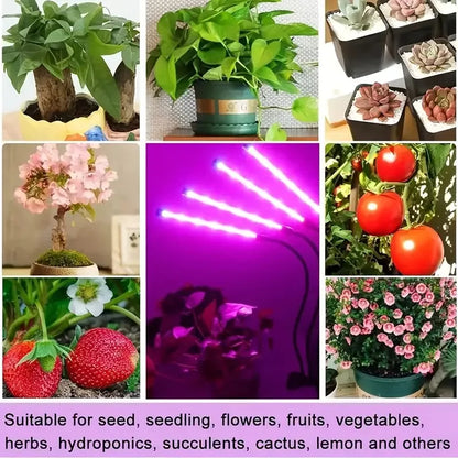 USB LED Plant Grow Light Indoor Garden 5 Dimmable Levels Grow Light Full Spectrum Timer Setting Hydroponic Greenhouse 3H/9H/12H
