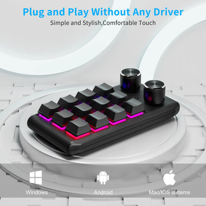 Bluetooth Macropad With 2 Knobs RGB 12 Key Mechanical