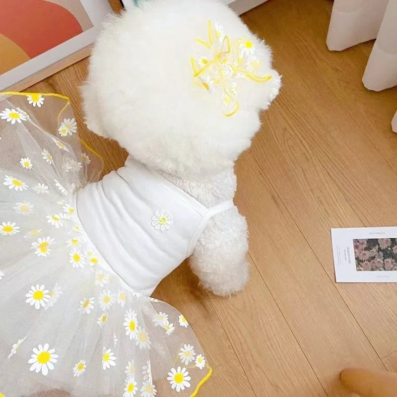 Luxury Strawberry Dog Dress for Spring and Summer - Smarsty