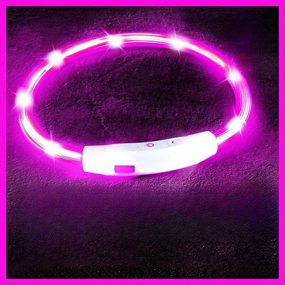 USB Rechargeable LED Dog Collar for Night Safety - Smarsty