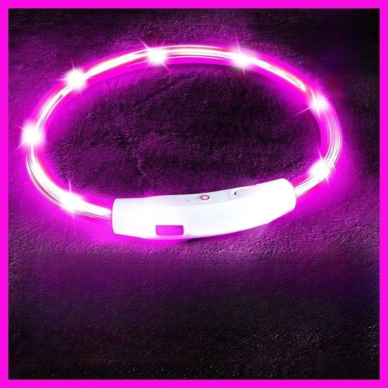 USB Rechargeable LED Dog Collar for Night Safety - Smarsty