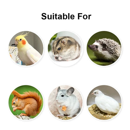 Detachable Plastic Bird Feeding Bowl with Convenient Hanging Design - Smarsty