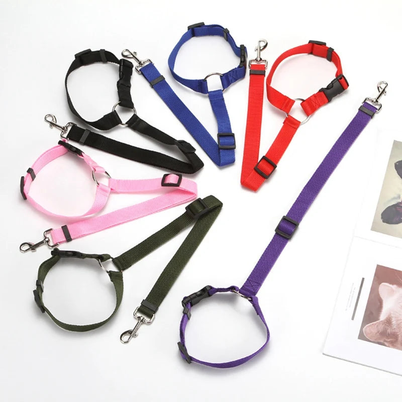 Adjustable Two-in-One Pet Car Seat Belt Harness - Smarsty
