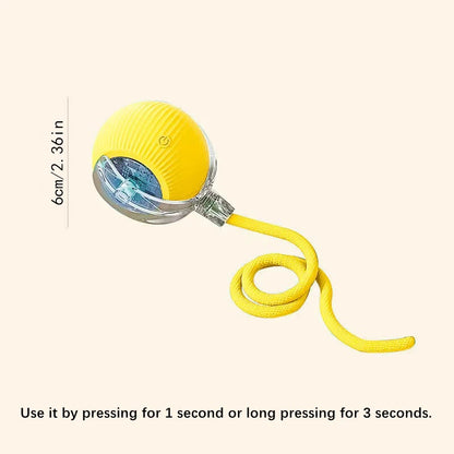 Interactive Smart Dog Toy Ball For Active Play - Smarsty