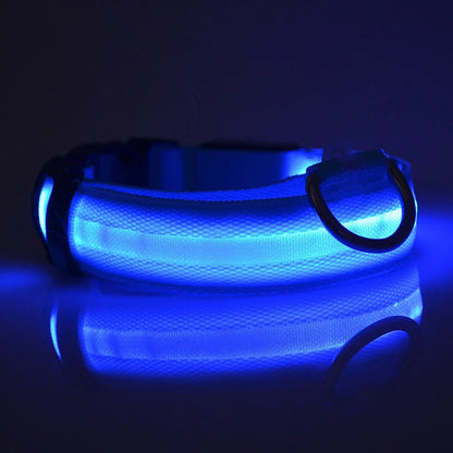 Nylon LED Glow In The Dark Dog Leash - Smarsty