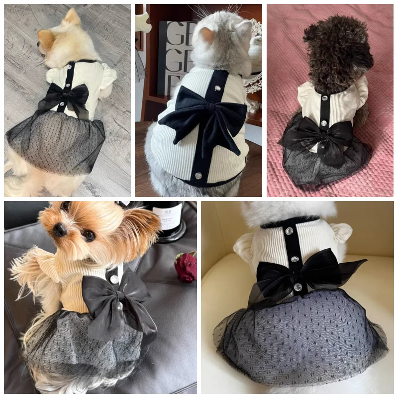 Luxury Summer Dog Dress with Bow and Lace - Smarsty