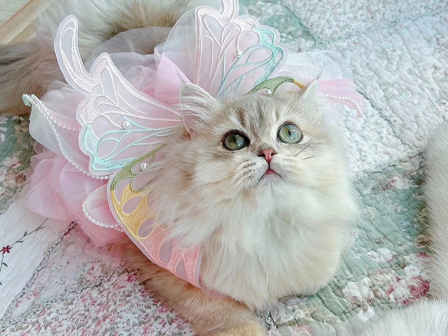 Princess Style Lace Skirt Dog Cat Dress - Smarsty
