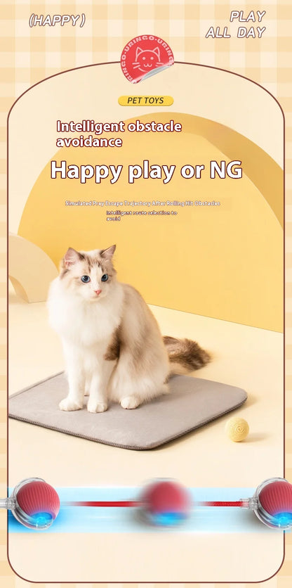 Rechargeable Cat Interactive Rolling Ball Toy Set - Smarsty