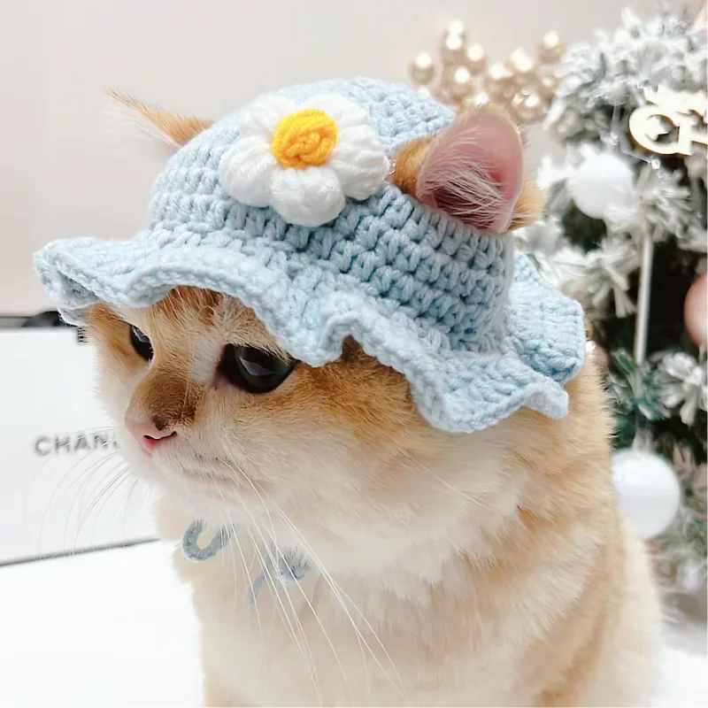 Cute Frog Cat Hat with Bunny Ears for Fun Costumes - Smarsty