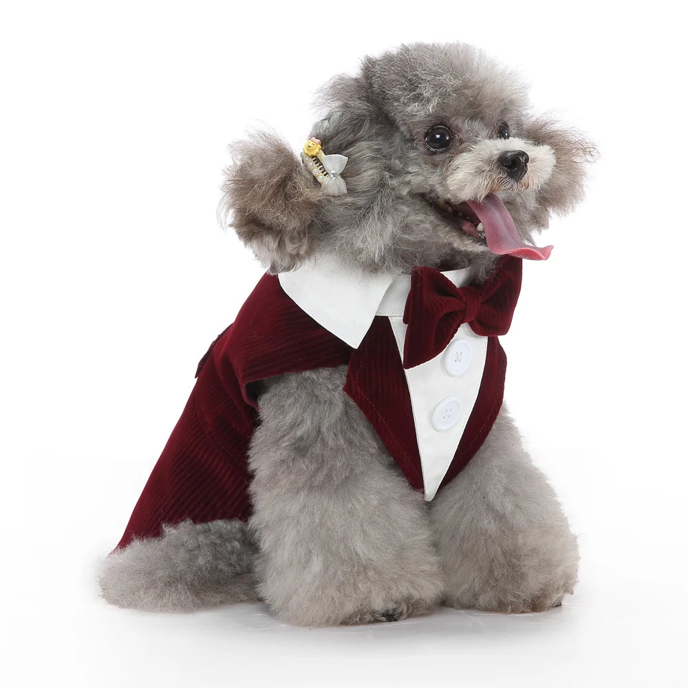 Formal Tuxedo Dog Costume for Weddings and Events - Smarsty