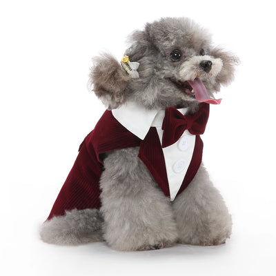 Formal Tuxedo Dog Costume for Weddings and Events - Smarsty
