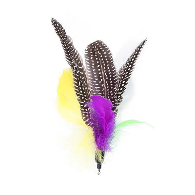11pcs Replacement Cat Feather Toy Set Feather Replacement Head Retractable Cat Stick Cat Products - Smarsty