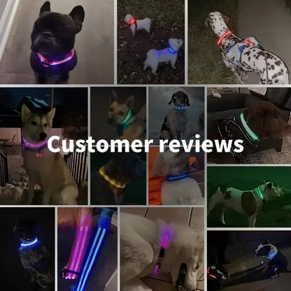 LED Glowing Dog Collar Adjustable Rechargeable Night Safety - Smarsty