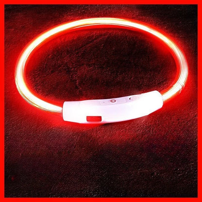 USB Rechargeable LED Dog Collar for Night Safety - Smarsty