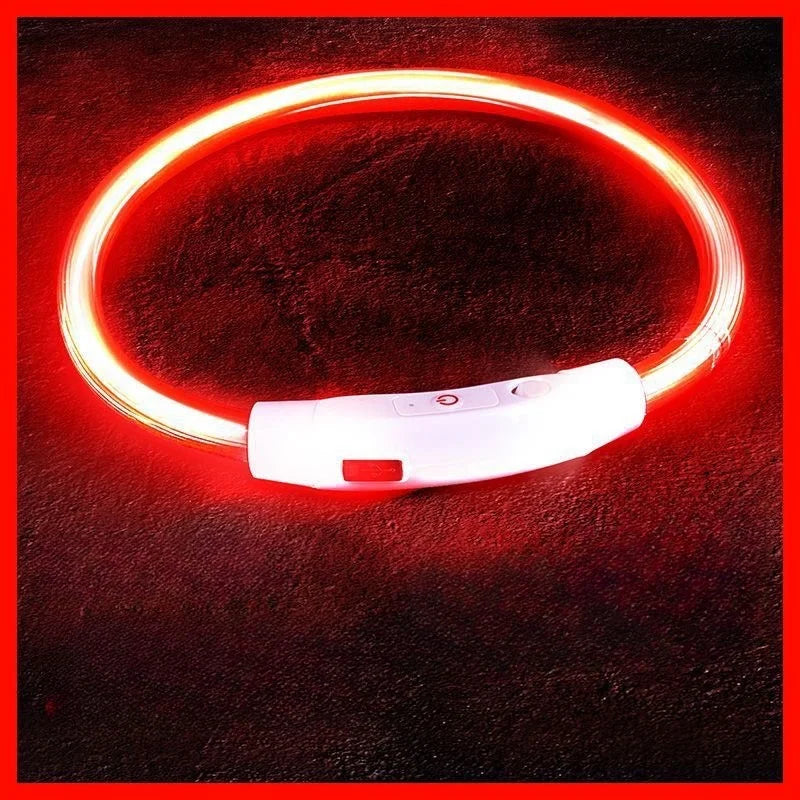 USB Rechargeable LED Dog Collar for Night Safety - Smarsty