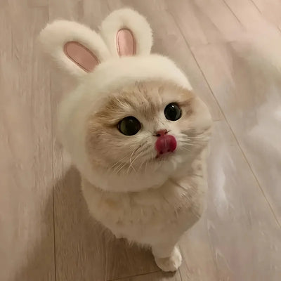 Bunny Ears Cat Hat Comfortable Knit Costume for Pets - Smarsty