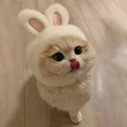 Bunny Ears Cat Hat Comfortable Knit Costume for Pets - Smarsty