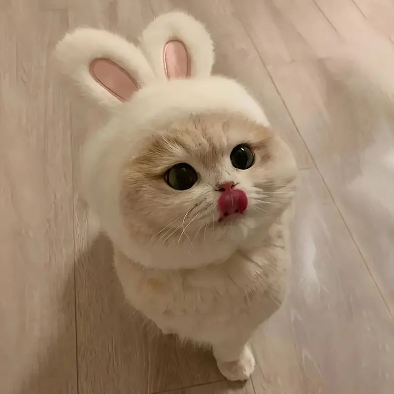 Bunny Ears Cat Hat Comfortable Knit Costume for Pets - Smarsty