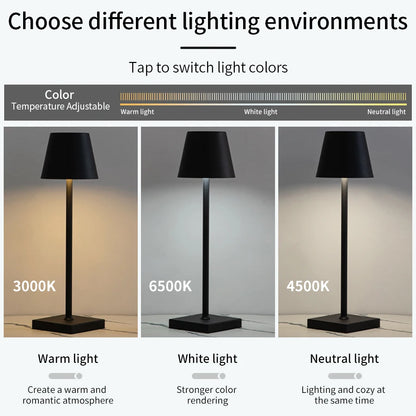 Rechargeable LED Table Lamp with Touch Control Dimmable Lighting - Smarsty