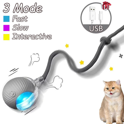 Rechargeable Cat Interactive Rolling Ball Toy Set - Smarsty
