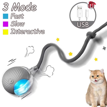 Rechargeable Cat Interactive Rolling Ball Toy Set - Smarsty