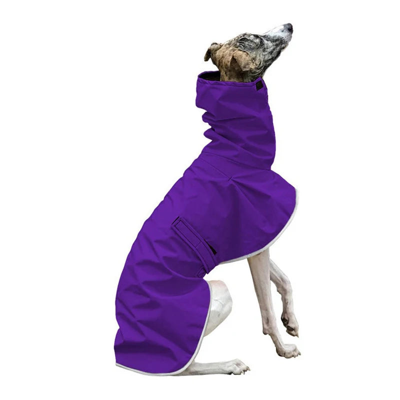 Waterproof Winter Coat for Italian Greyhounds and Whippets - Smarsty
