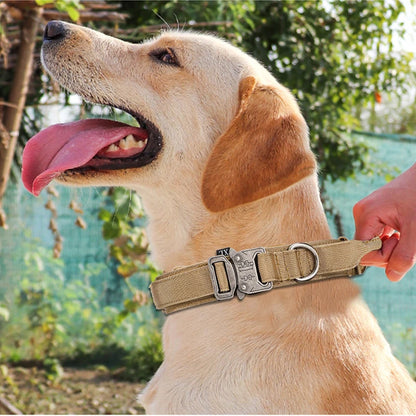 Durable Reflective Nylon Dog Collar and Leash Set - Smarsty
