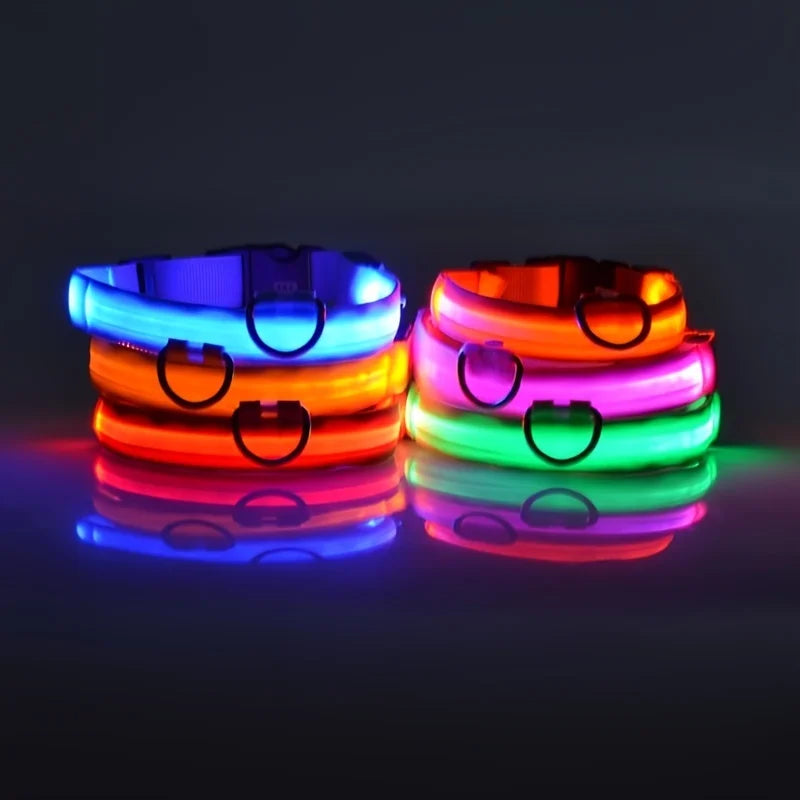 Nylon LED Glow In The Dark Dog Leash - Smarsty