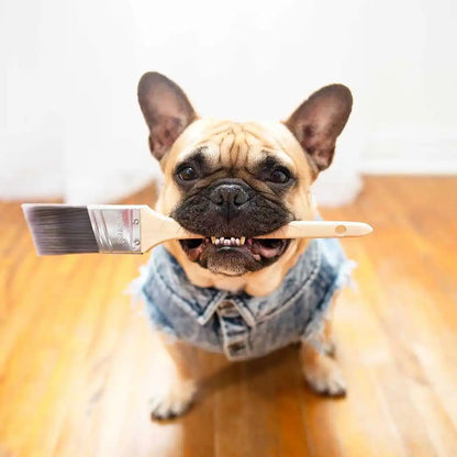 Denim Dog Jacket with Stylish Holes for All Seasons - Smarsty