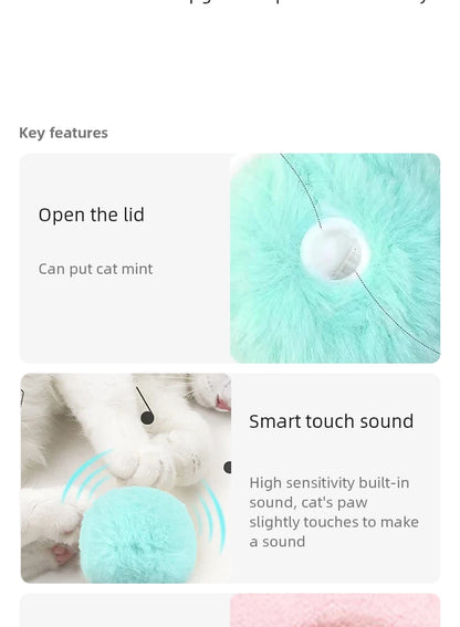 Interactive Cat Toy Ball with Sound and Catnip - Smarsty