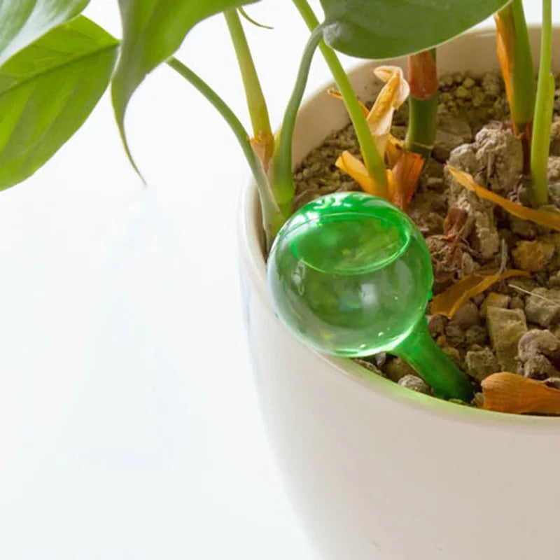 Automatic Plant Watering Bulbs for Hassle-Free Hydration - Smarsty