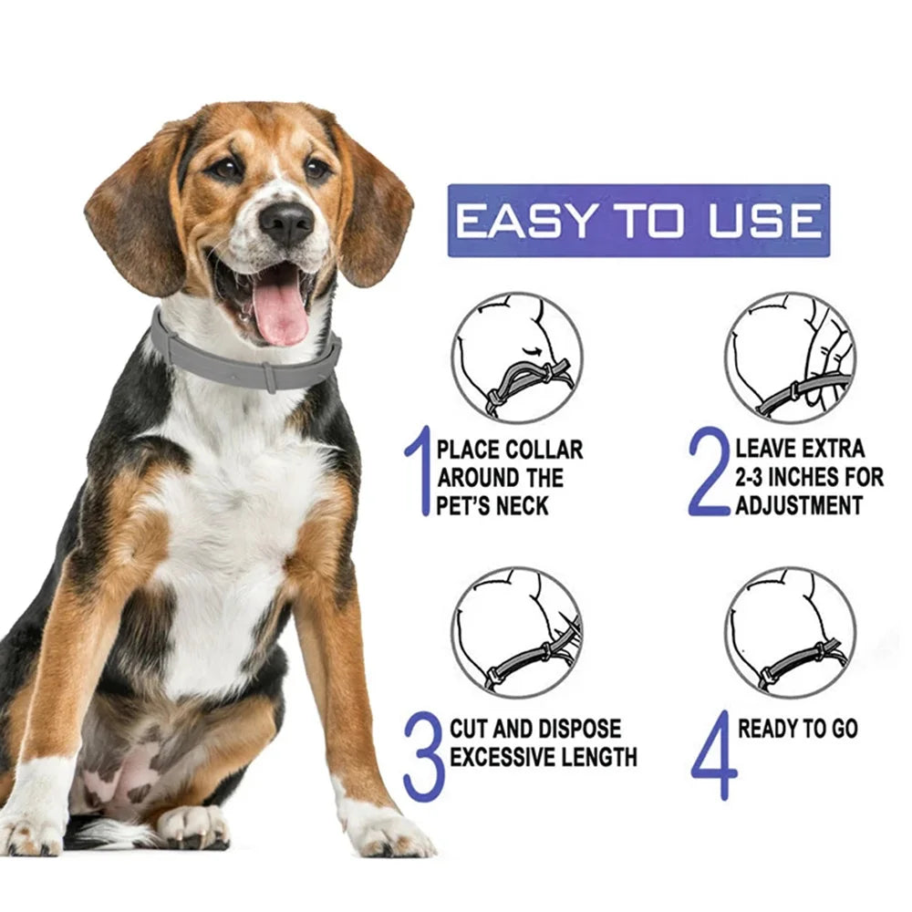 Adjustable VIP Dog Collar for Small Dogs and Cats - Smarsty