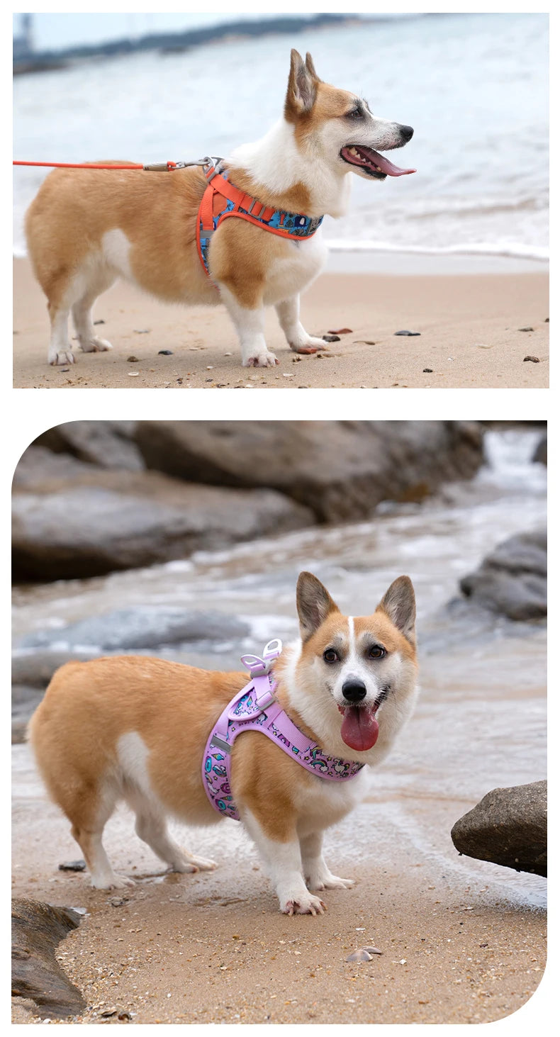 Truelove Floral Mesh Harness for Dogs and Cats - Smarsty