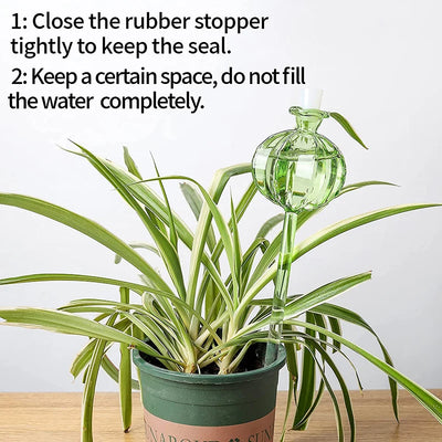 Glass Automatic Plant Watering Bulbs for Easy Irrigation - Smarsty