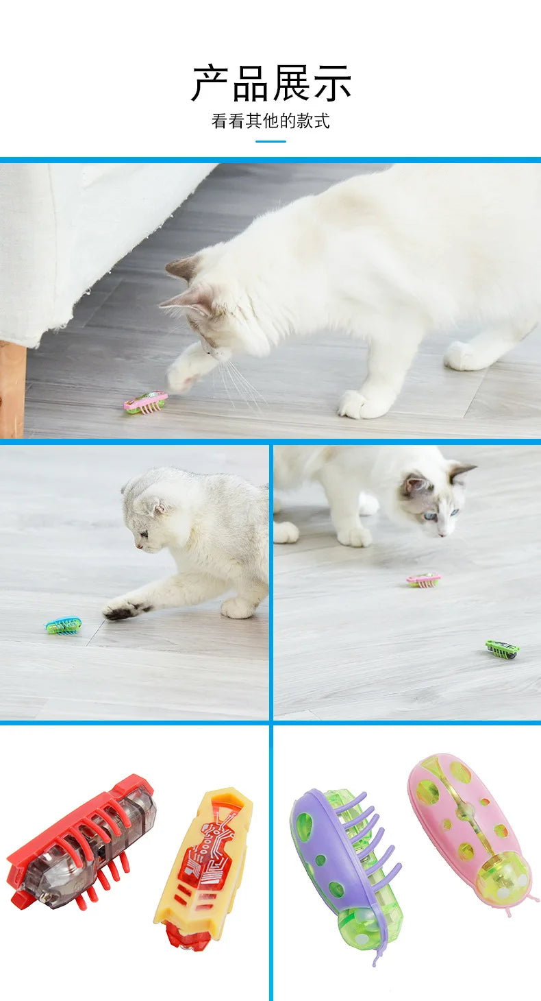 Interactive Electric Bug Cat Toy for Engaging Play - Smarsty
