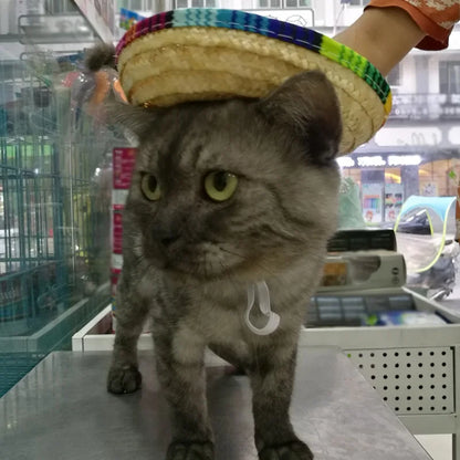 Cute Sun Hat for Dogs and Cats Durable Accessory - Smarsty