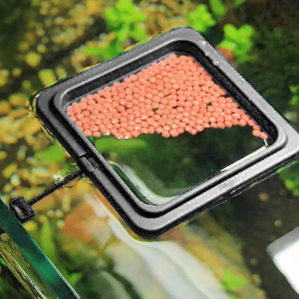Black Aquarium Feeding Ring with High Capacity Design - Smarsty