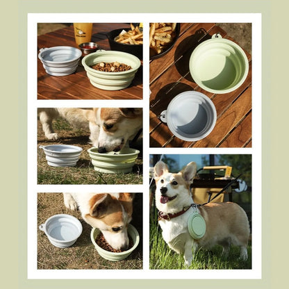 Collapsible Silicone Dog Bowls for Travel and Camping - Smarsty