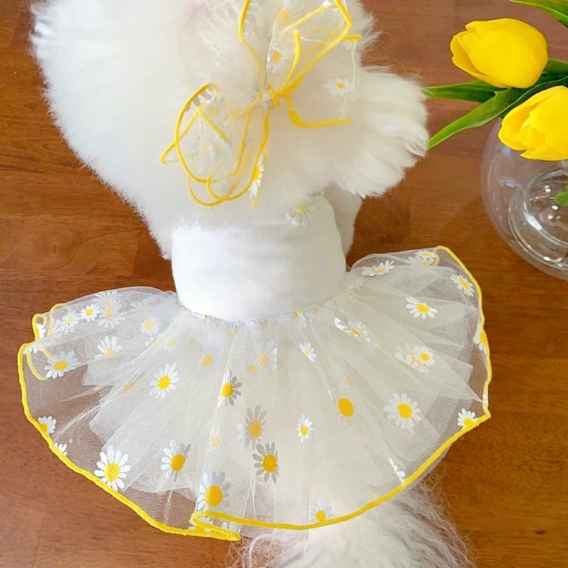 Luxury Strawberry Dog Dress for Spring and Summer - Smarsty