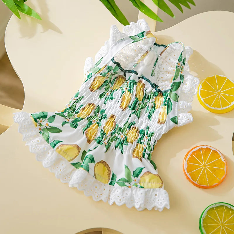 Luxury Strawberry Dog Dress for Spring and Summer - Smarsty