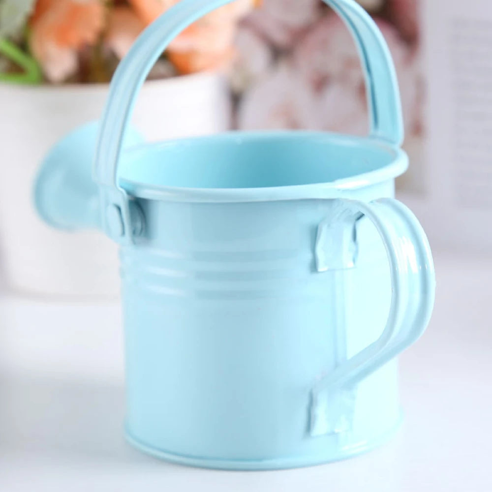 Metal Watering Can with Large Capacity for Easy Plant Care - Smarsty