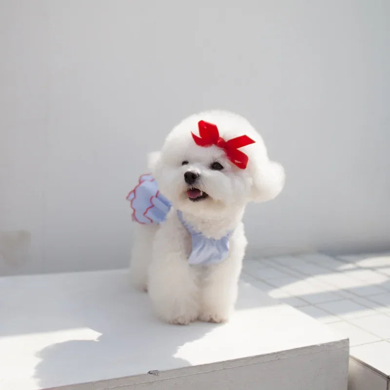 Cute Dog Summer Dress for Small Pets - Smarsty