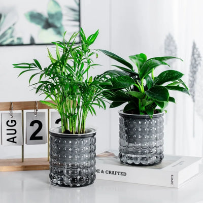 New Self Watering Hydroponic Plants Pot Plastic Removable Mini Succulent Planter Tabletop Vase Office Bonsai Decor