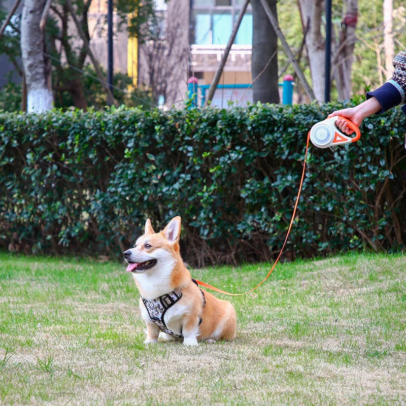 5M Automatic Retractable Dog Leash with LED Flashlight - Smarsty
